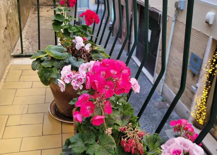 Frascati Antica